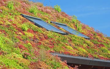 Catterick Bridge living roof systems